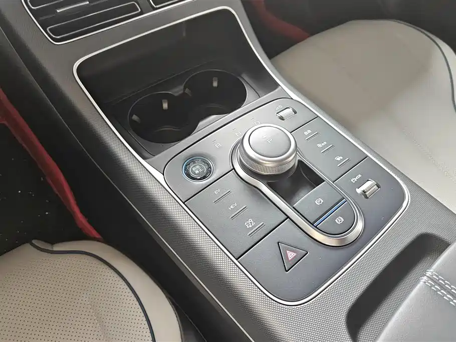 BYD Destroyer 05 2024 Glory Edition DM-i 55KM Luxury фото 16