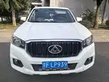 Фото 2 - Maxus Maxus T60