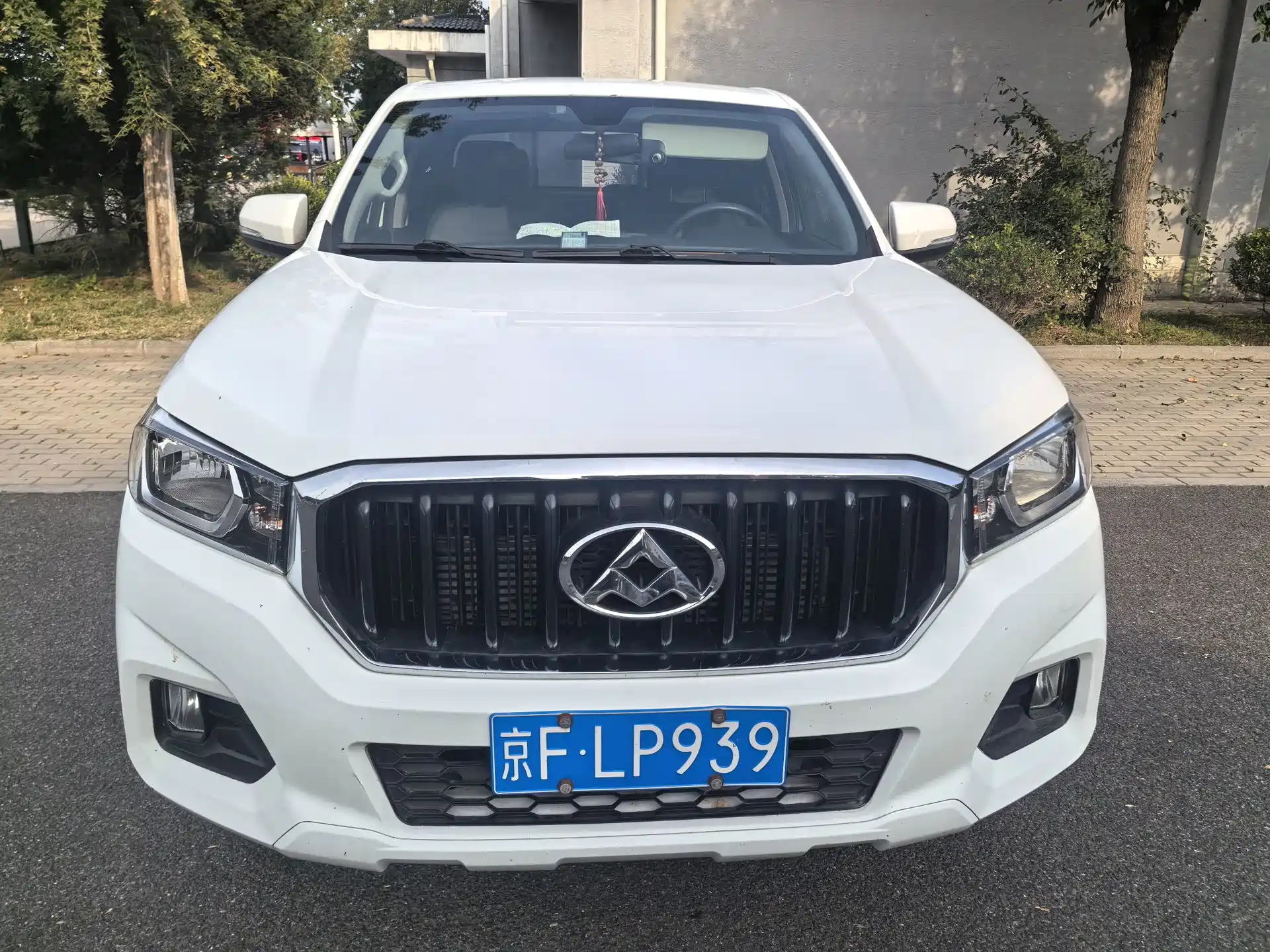 Фото 2 - Maxus Maxus T60