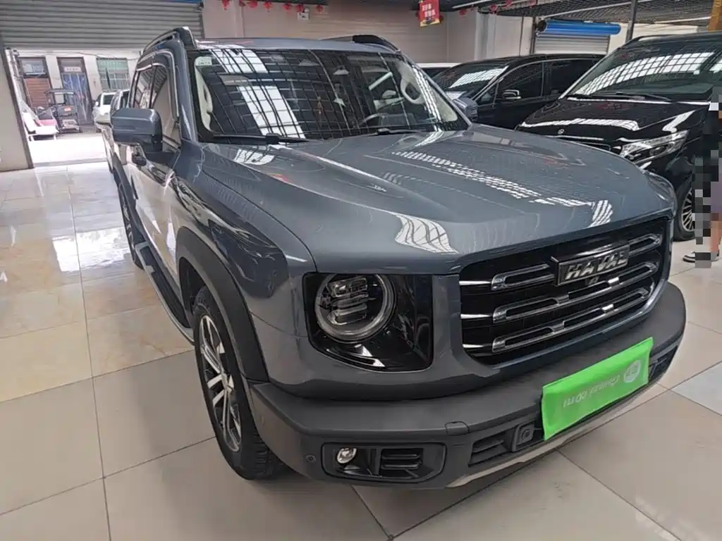 Фото 4 - Haval Big Dog