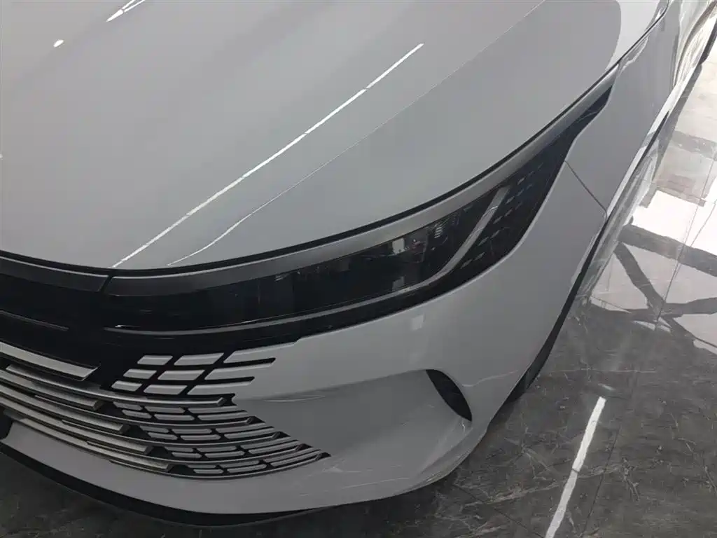 BYD Destroyer 05 2024 Glory Edition DM-i 55KM Luxury фото 24