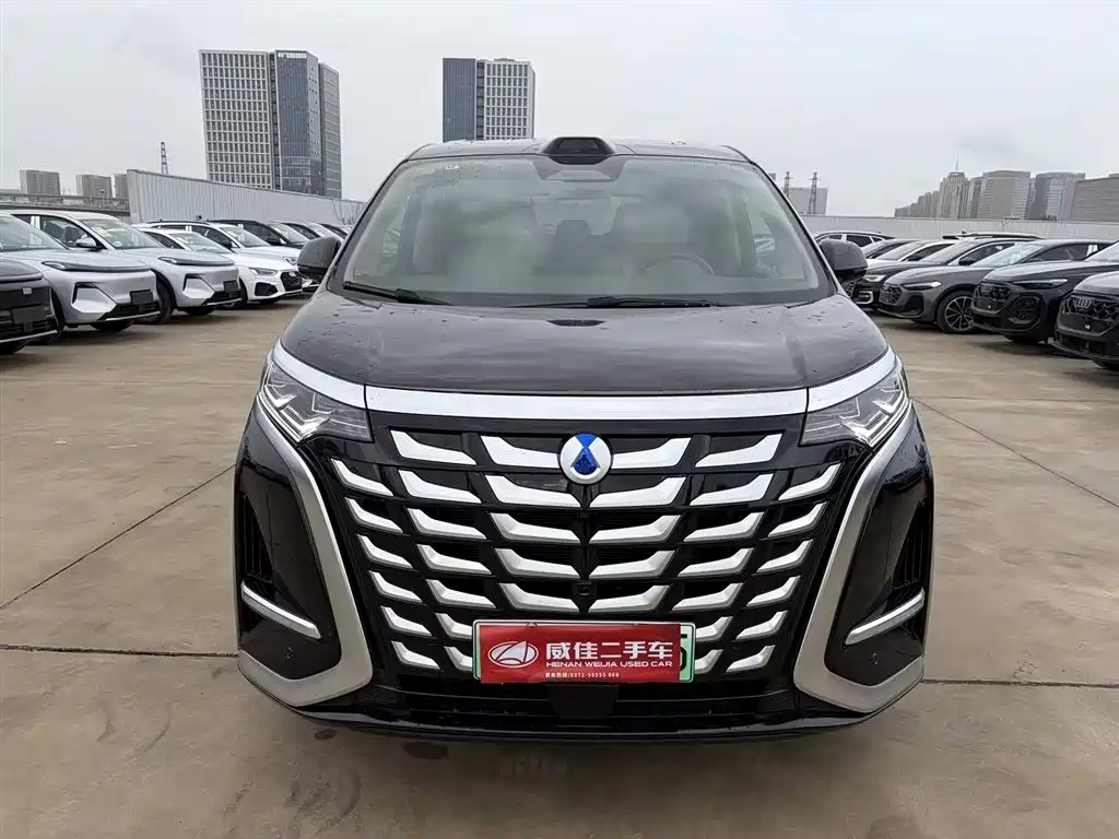 Denza D9 2025 DM-i Smart Drive Edition 1020 AWD Premium фото 2