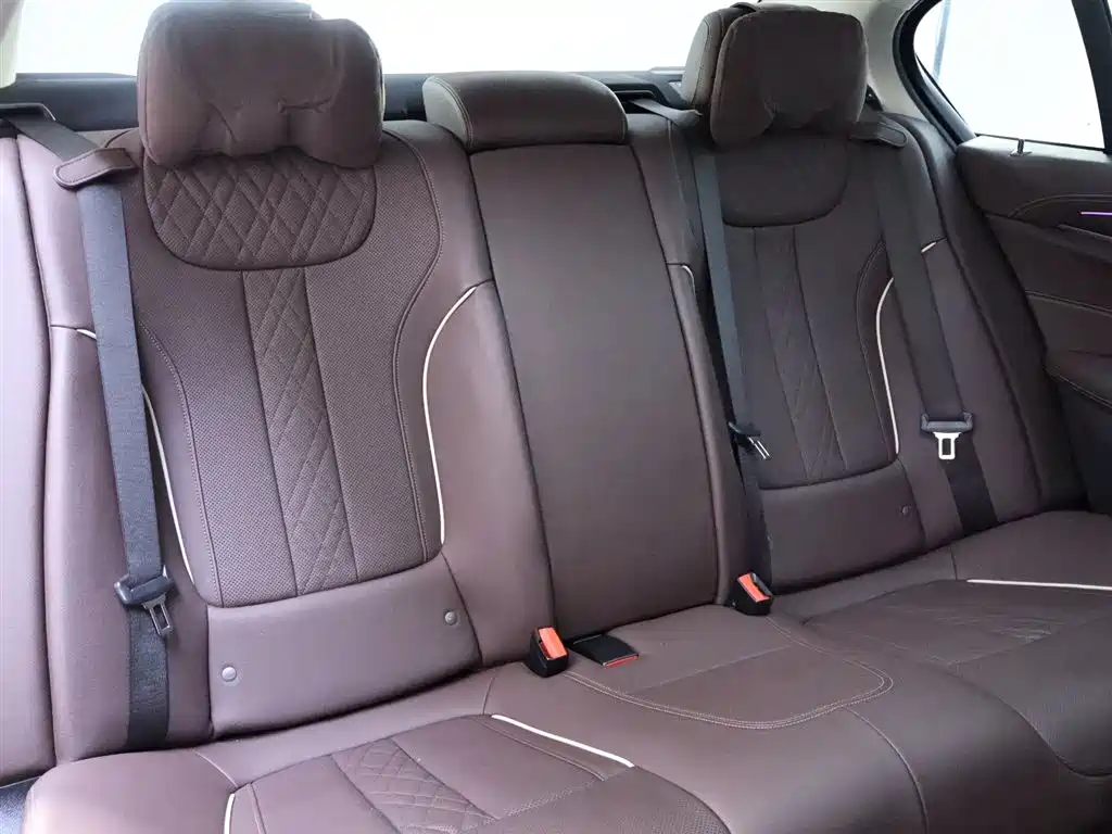 BMW 5 Series 2021 530Li Leading Luxury Package фото 24