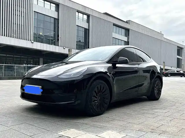 Tesla Model Y Задний привод
