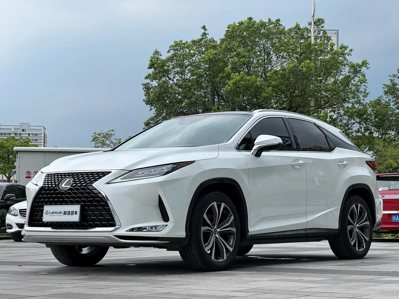 Lexus RX 2020 300 AWD Elegance Edition China V