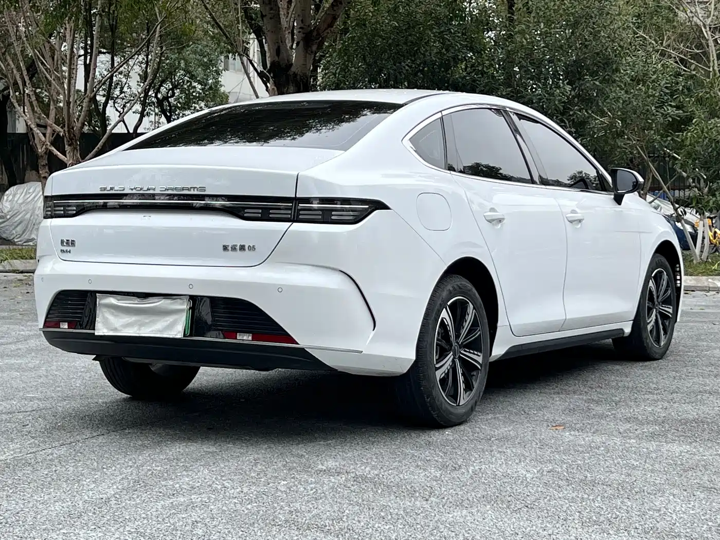 BYD Destroyer 05 2023 Champion Edition DM-i 120KM Premium фото 6