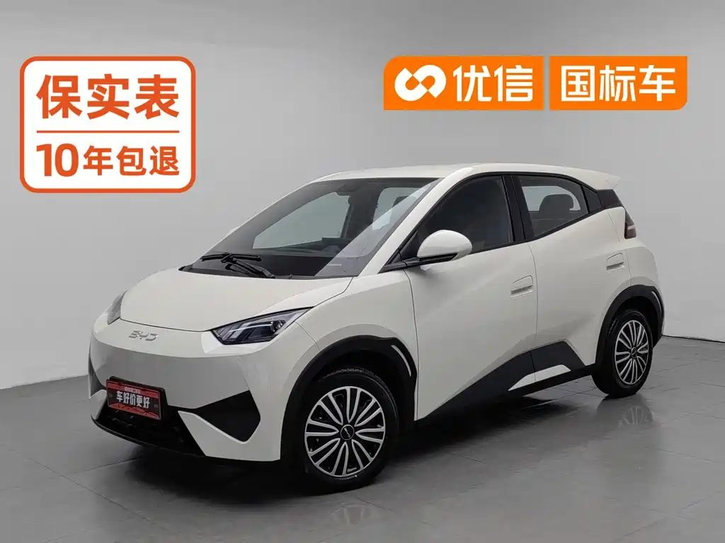 BYD Seagull 2025