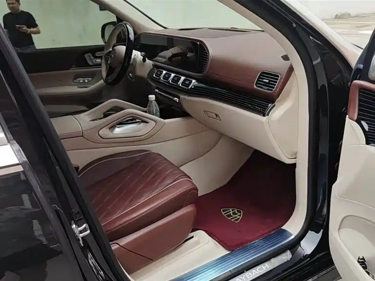 Mercedes-Benz Maybach GLS 2025 GLS 480 4MATIC фото 10