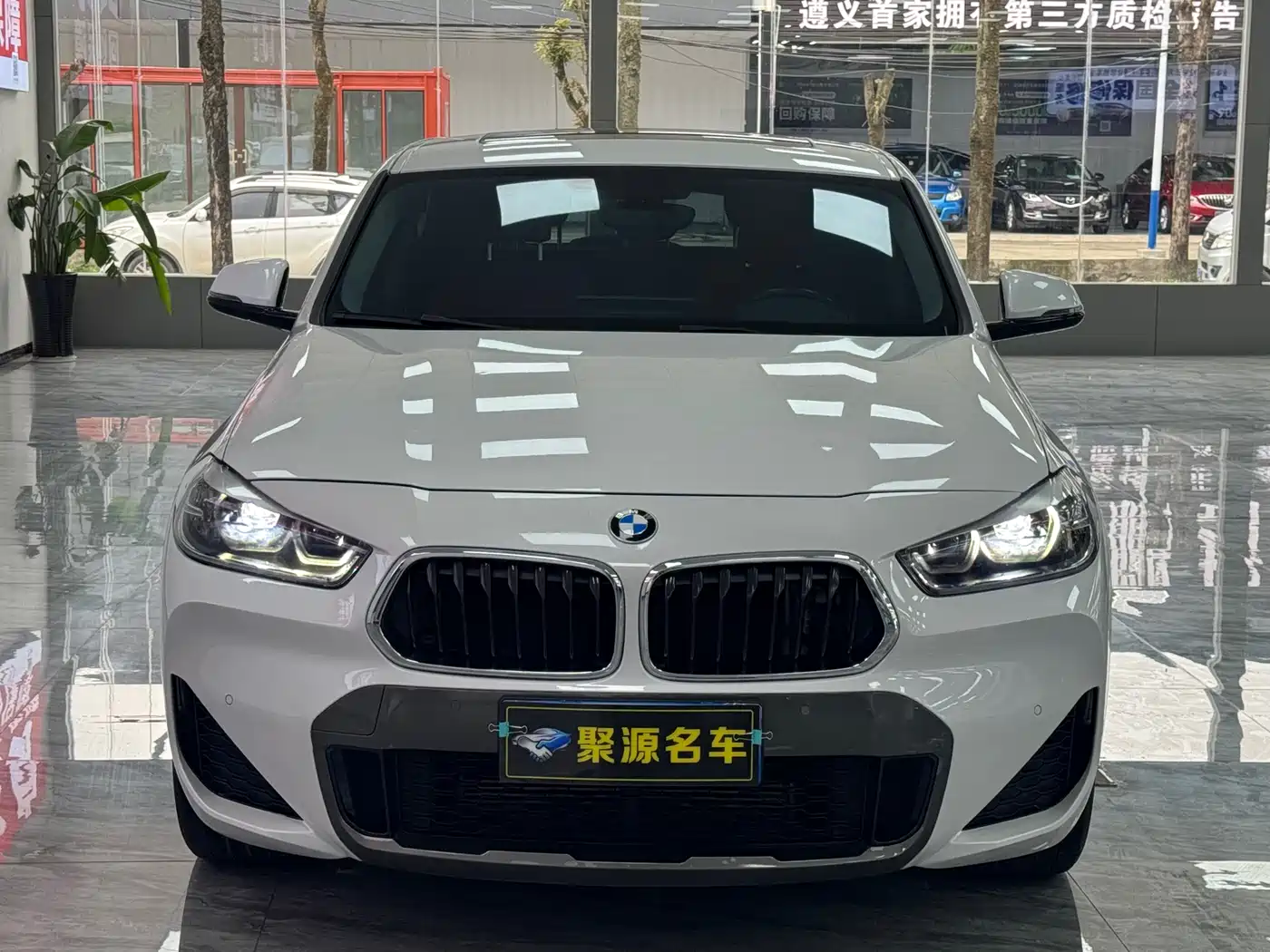 BMW X2