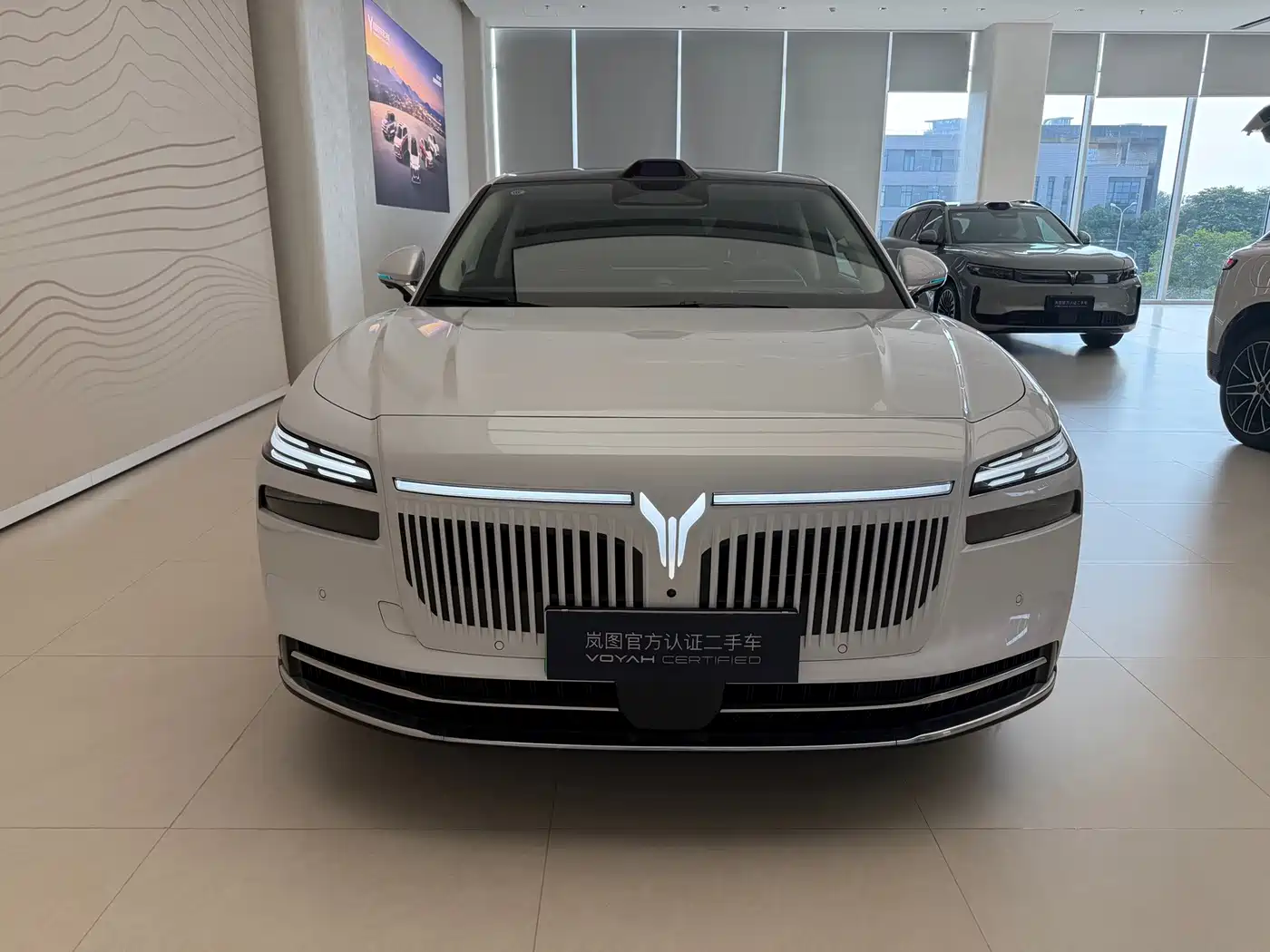 Voyah Auto VOYAH Zhuiguang L 2025 2025 Mid-configuration Model