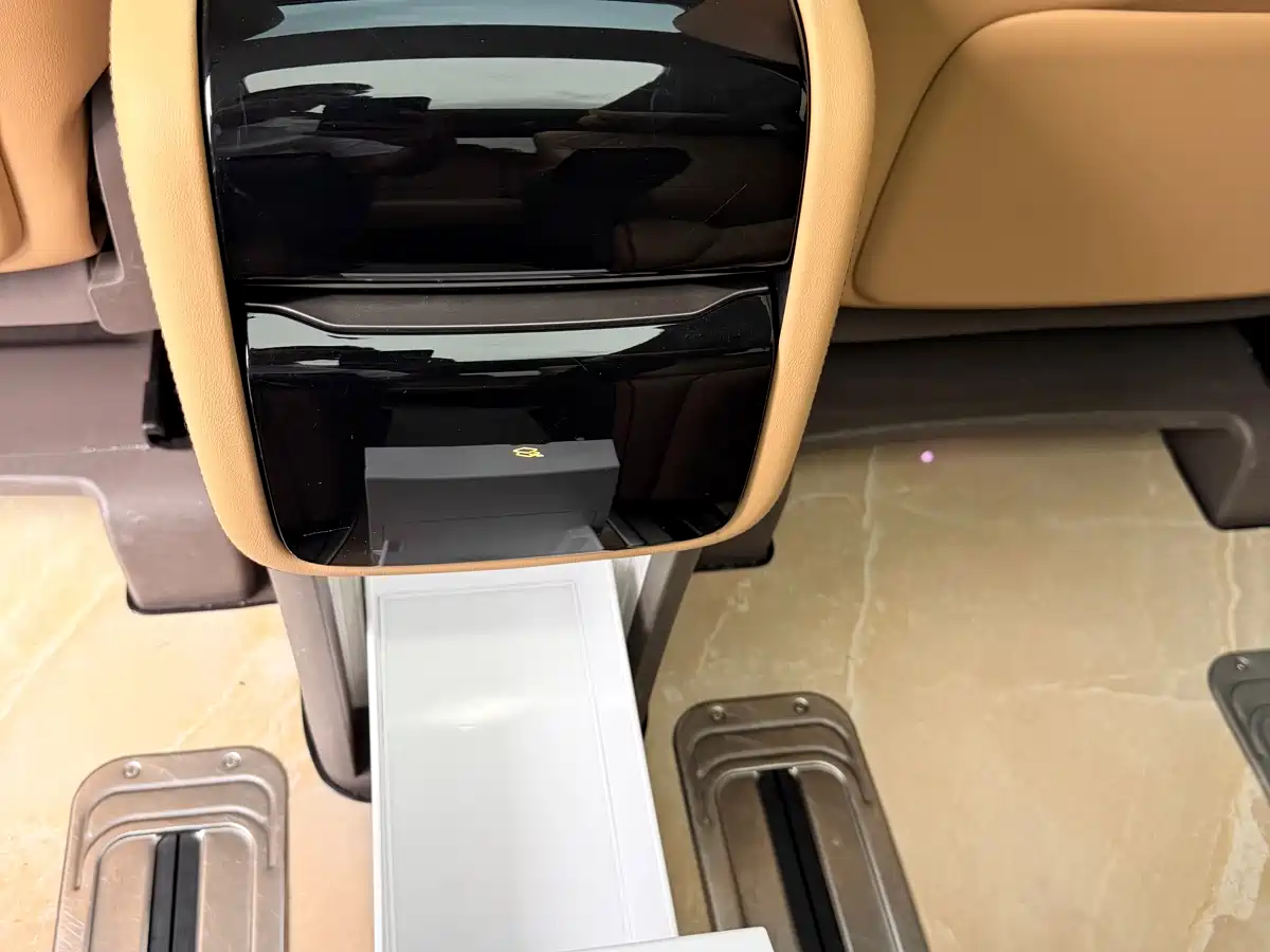 Denza D9 2022 DM-i 970 AWD Flagship фото 19