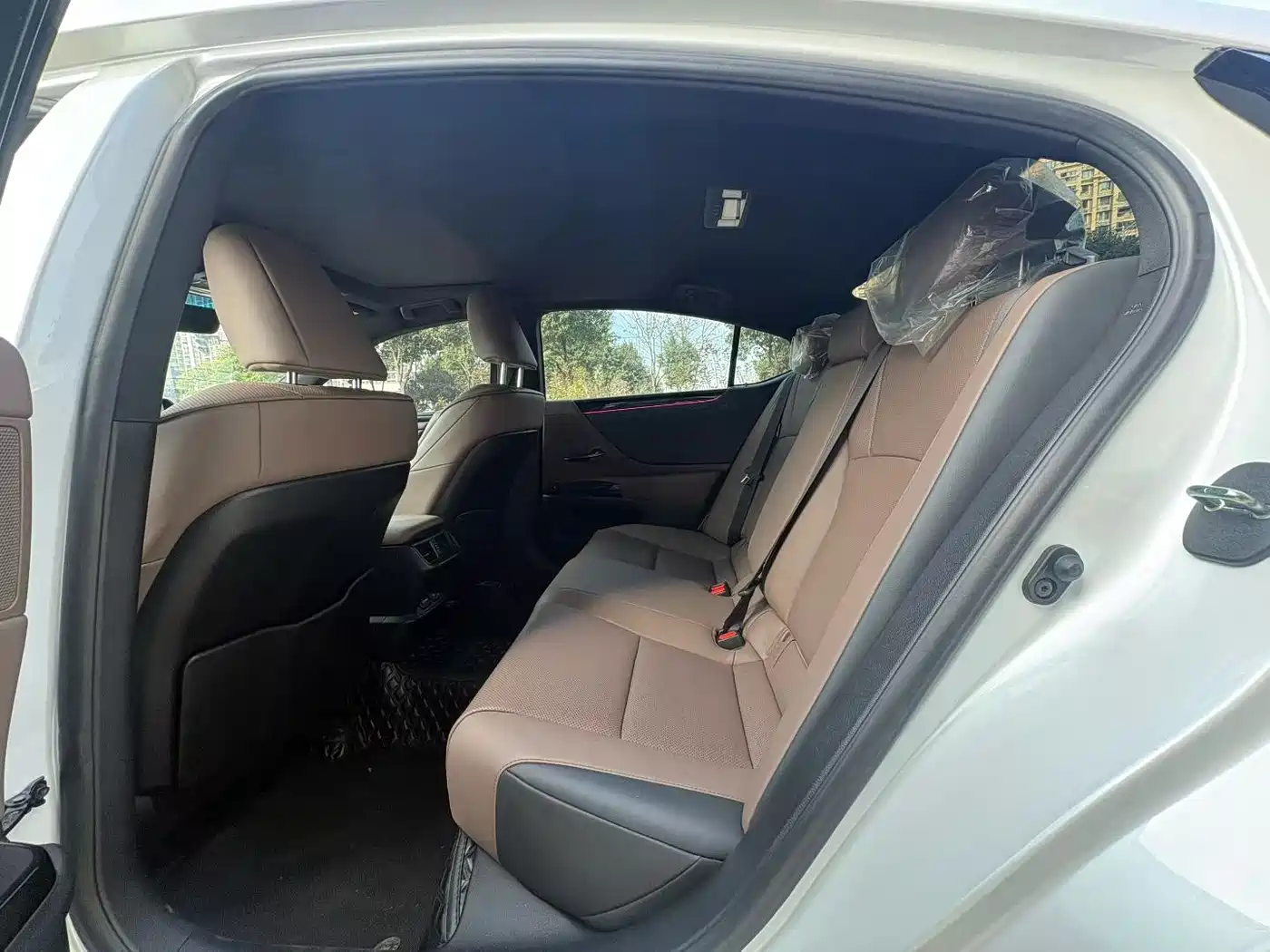 Lexus ES 2023 200 Excellence Edition фото 5