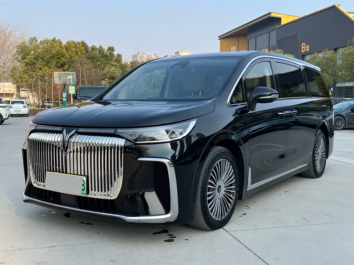Voyah Auto Voyah Dreamer 2025 PHEV AWD Flagship Kunpeng Edition фото 7