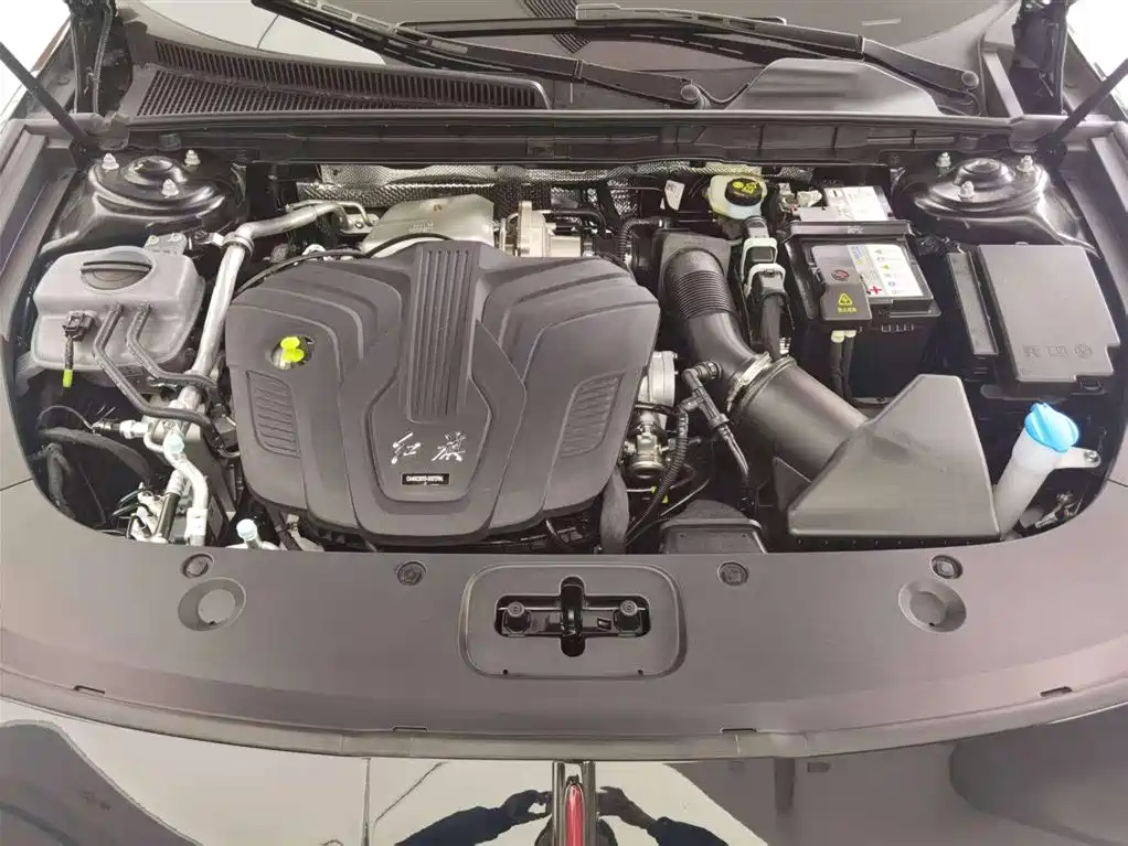 Hongqi H5 2024 2.0T Automatic Smart Connect Flag Leader Edition фото 13