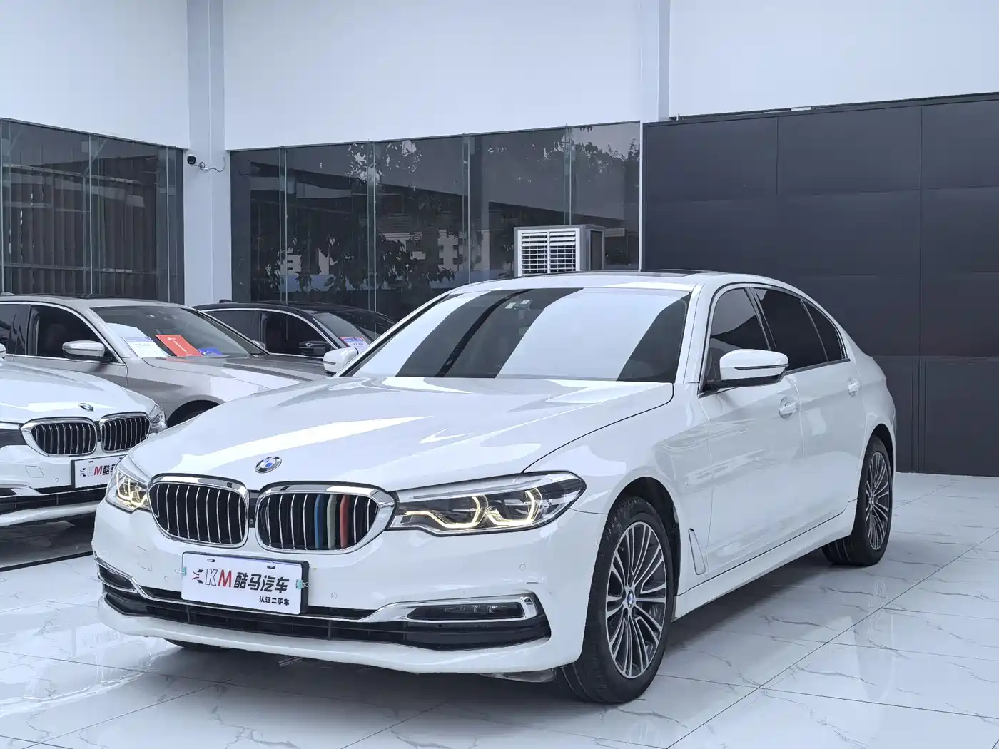 BMW 5 Series 2019 530Li Premium Luxury Package