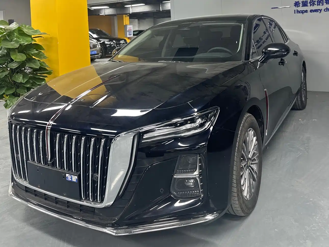 Hongqi H5 2023 2.0T Auto Smart Connect Flag Enjoy