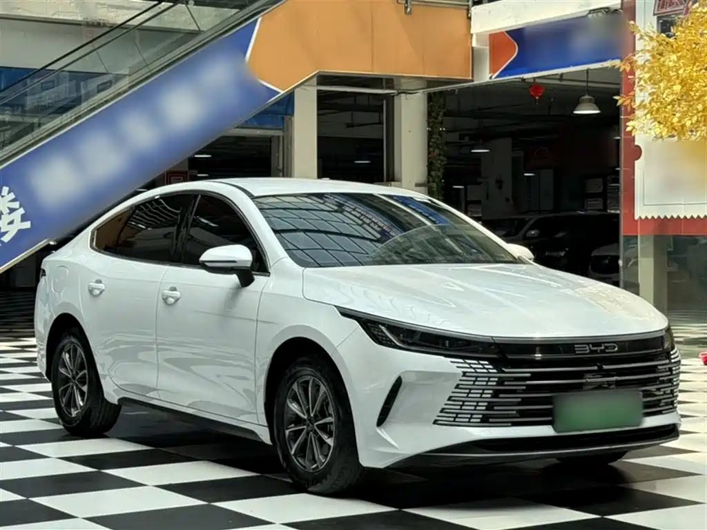 BYD Destroyer 05 2024 Glory Edition DM-i 55KM Luxury фото 23