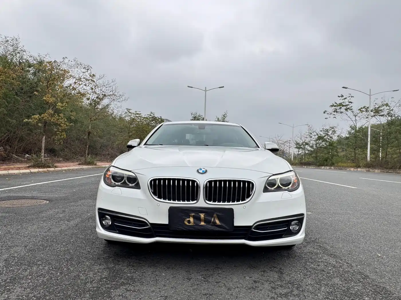 BMW 5 Series 2017 525Li Luxury Design Package фото 3