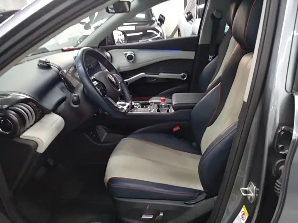 BYD Yuan PLUS 2022 2022 510KM Flagship