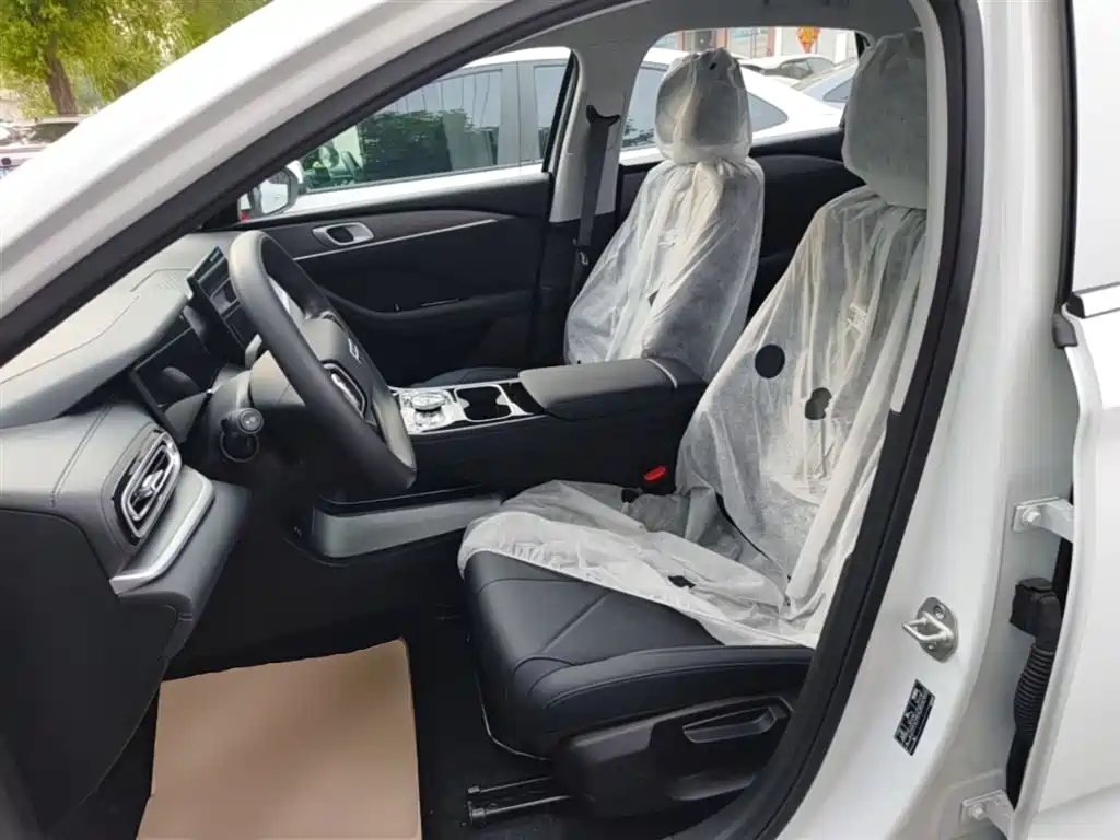 Geely Galaxy Galaxy Stellar 6 2025 Model 125km Free Edition фото 15
