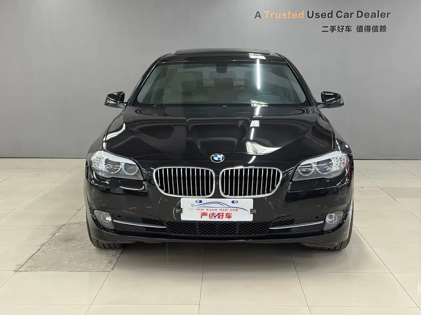 BMW 5 Series 2013 520Li Elegance фото 2