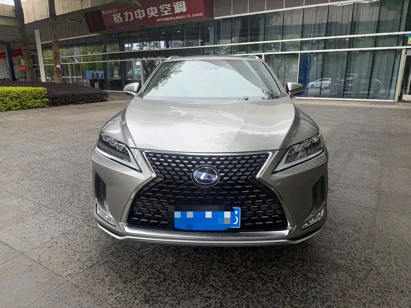 LEXUS RX