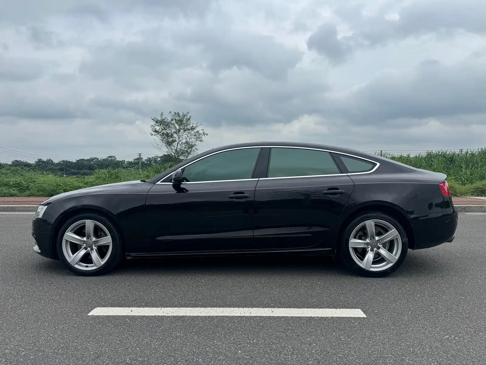 Фото 23 - Audi A5 (Import)