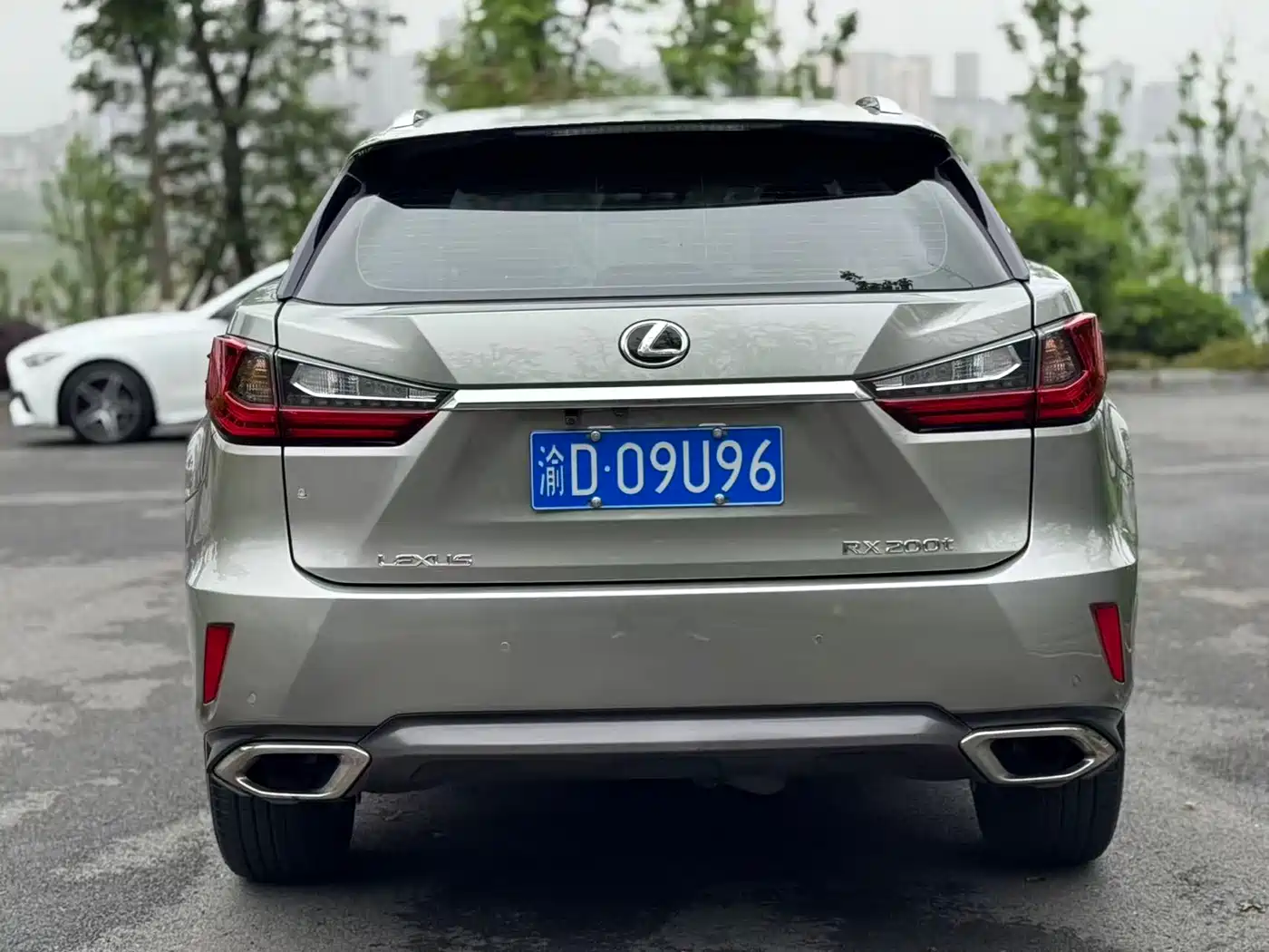 Lexus RX 2016 300 2WD Elite Edition (China V) фото 5