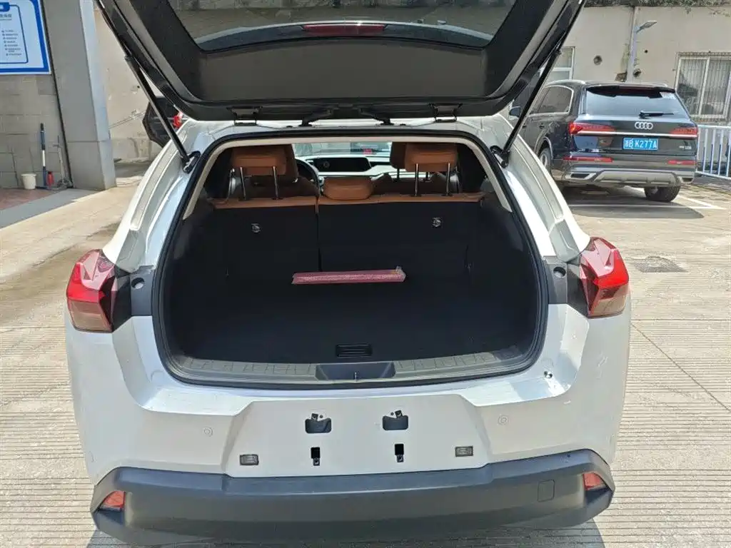 Lexus UX 2020 260h Explore Cool Edition China V фото 11