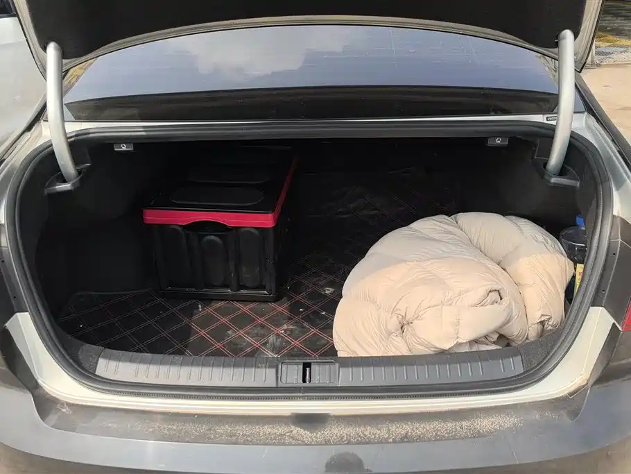 Volkswagen Magotan 2019 330TSI DSG Luxury China V фото 4