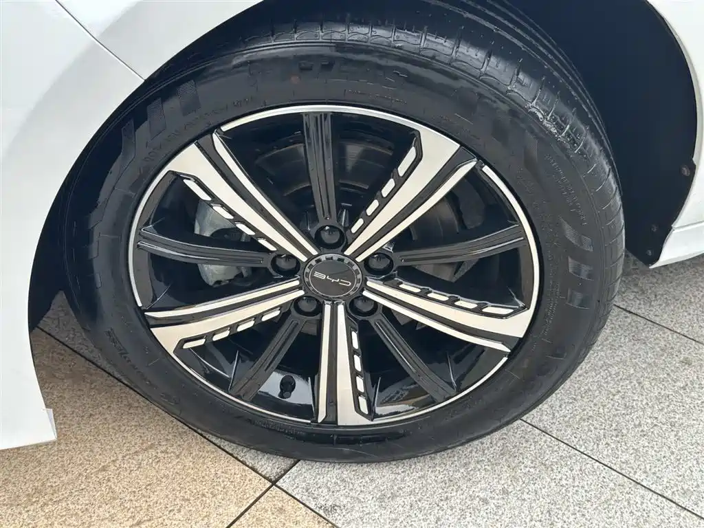 BYD Destroyer 05 2024 Glory Edition DM-i 120KM Luxury фото 14