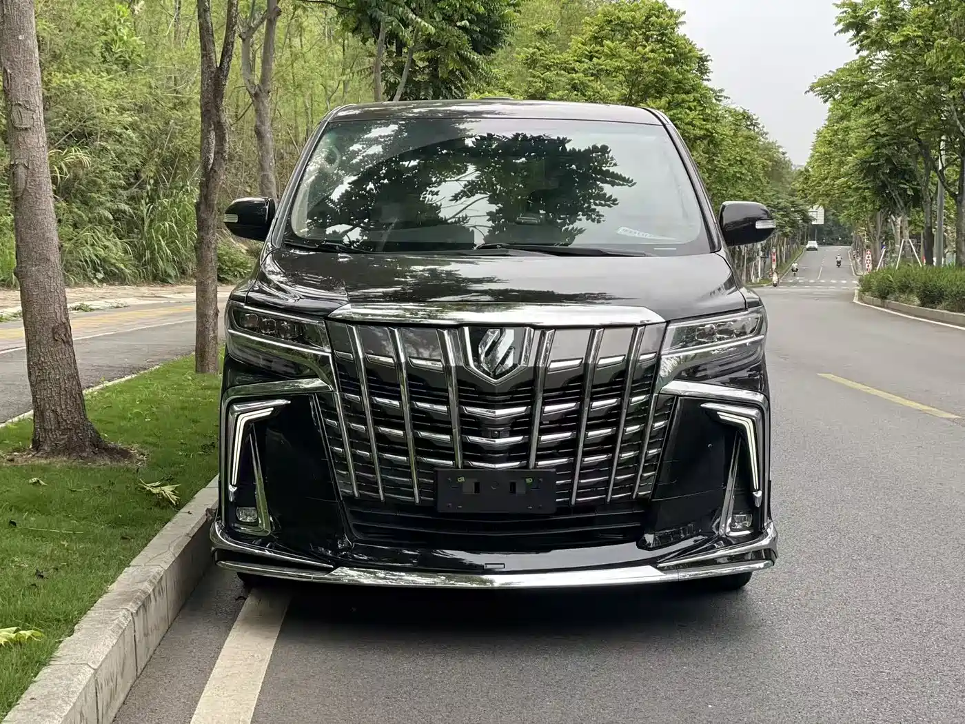 Toyota Alphard 2012 3.5L Luxury Edition фото 3