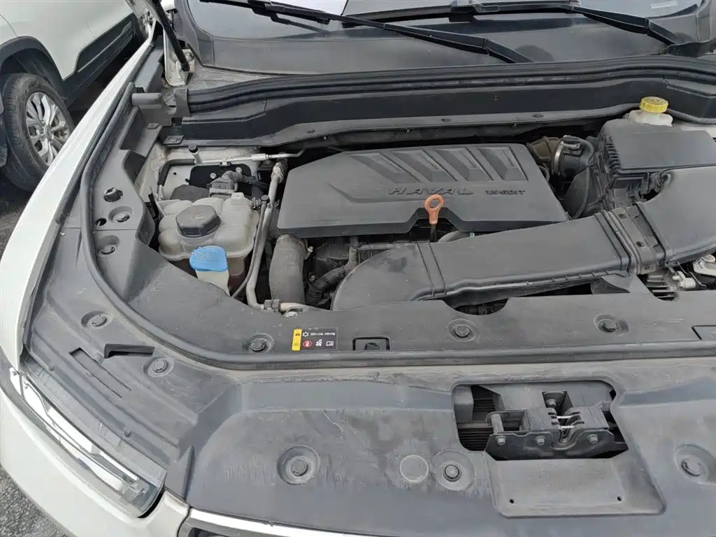 Haval H6 2019 1.5GDIT Automatic Champion Edition China VI фото 21