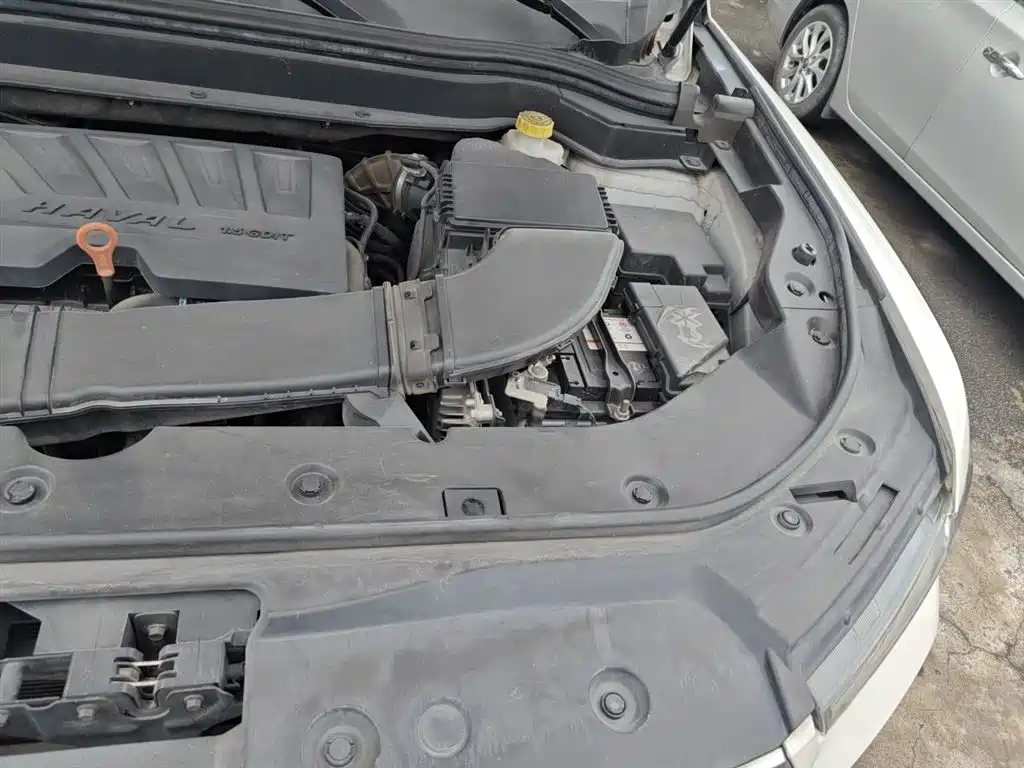 Haval H6 2019 1.5GDIT Automatic Champion Edition China VI фото 22