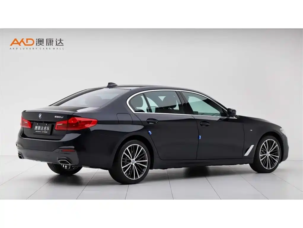 BMW 5 Series 2020 530Li Exclusive M Sport Package фото 3