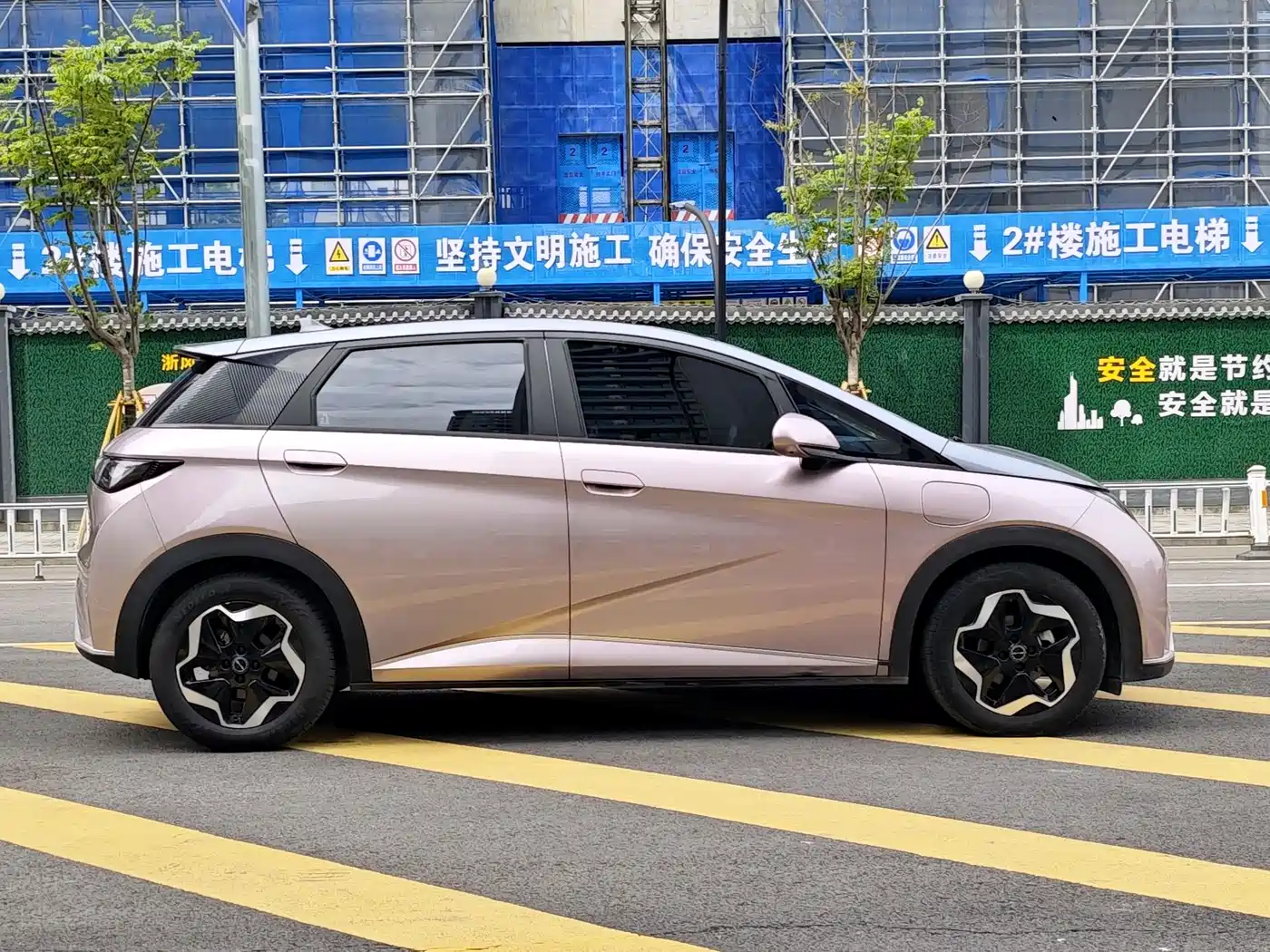 BYD Dolphin 2021 Model 405km Fashion Edition фото 6