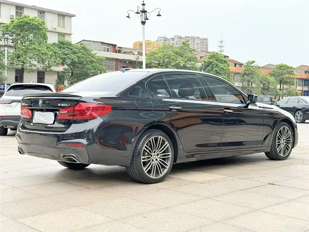 BMW 5 Series 2019 530Li Leading M Sport Package фото 9