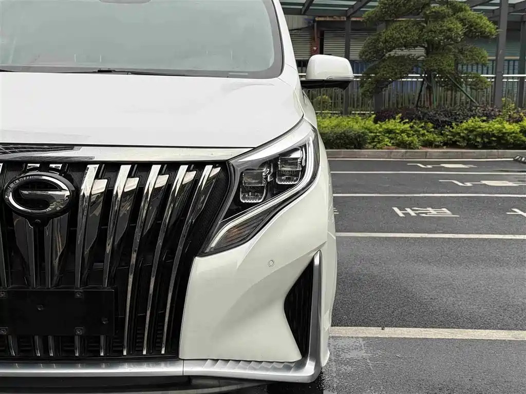 GAC Trumpchi Trumpchi M8 2021 Master Series 390T Ultimate Edition фото 9