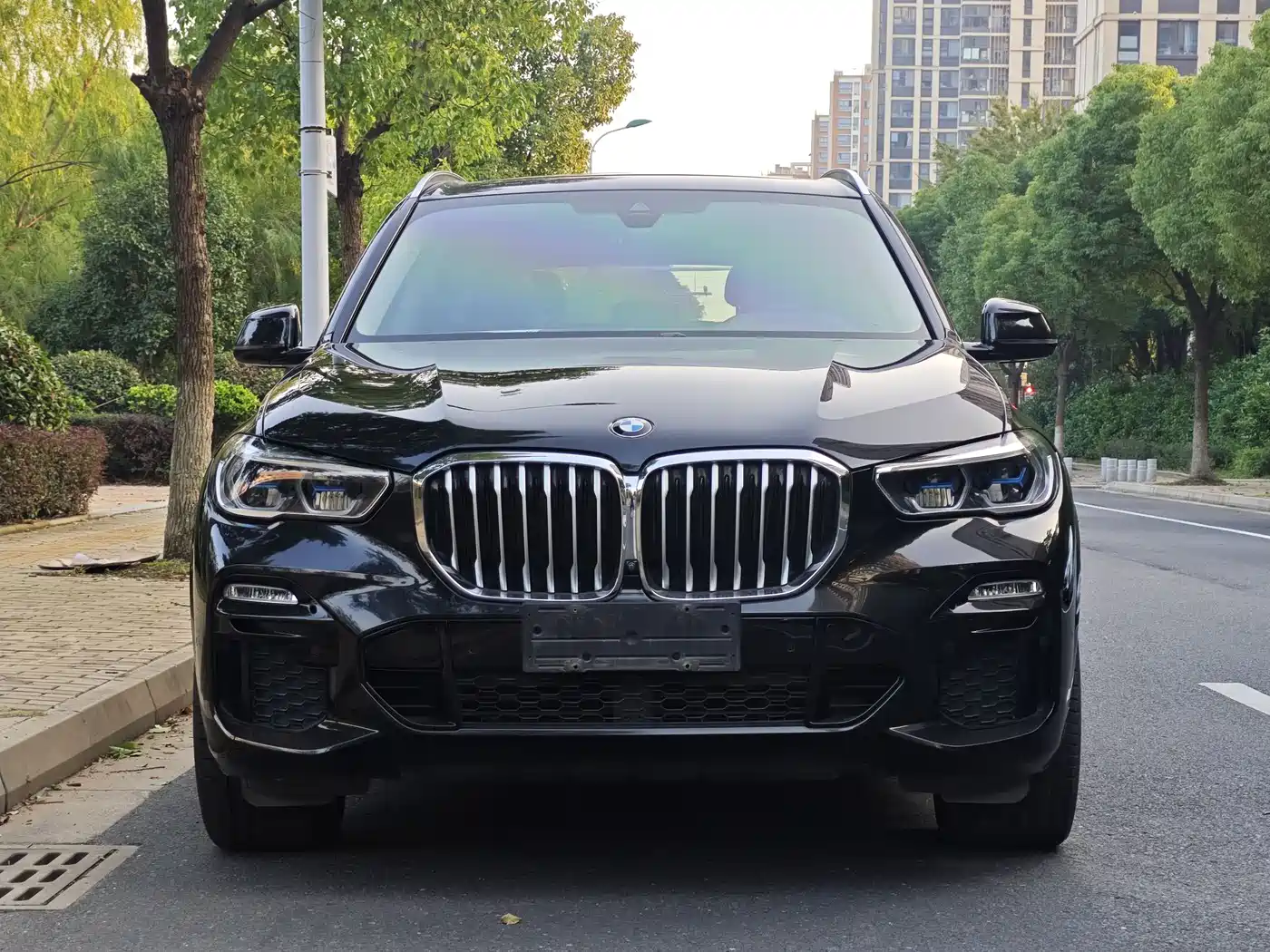 BMW X5 (Import) 2020 xDrive40i M Sport Package фото 2
