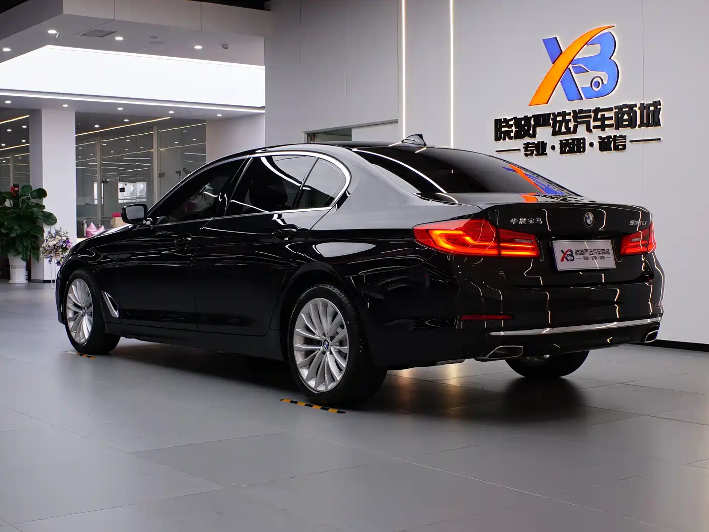 BMW 5 Series 2020 530Li Leading Luxury Package фото 4