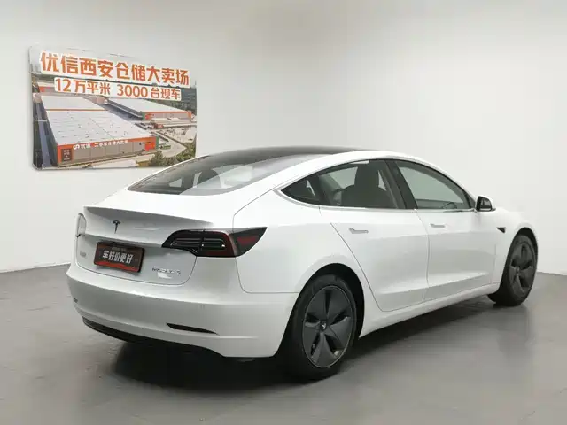 Tesla Model 3 2019 Standard Range Rear-Wheel Drive Upgrade — фото 2