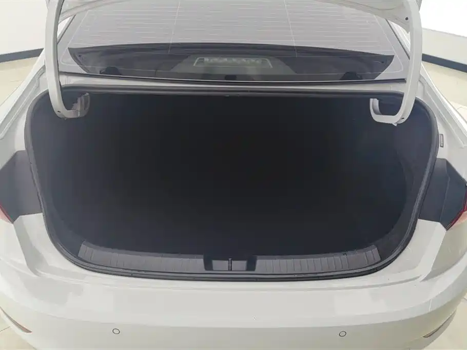 Volkswagen Sagitar 2020 280TSI DSG Comfort China VI фото 4