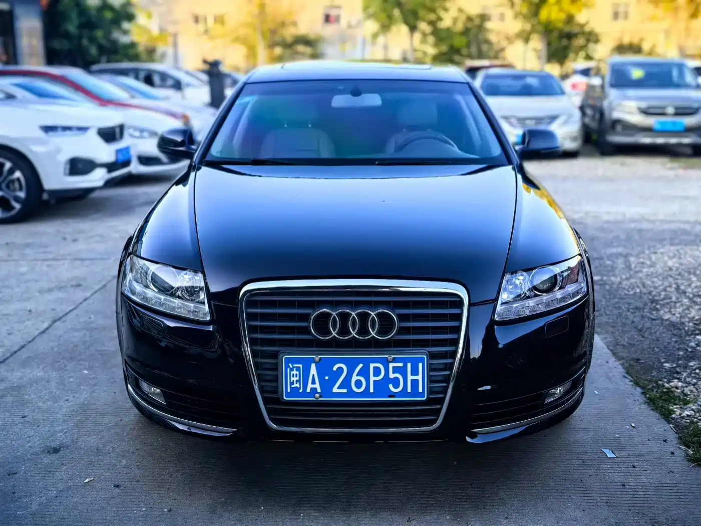 Audi A6L 2009 2009 2.4L Luxury