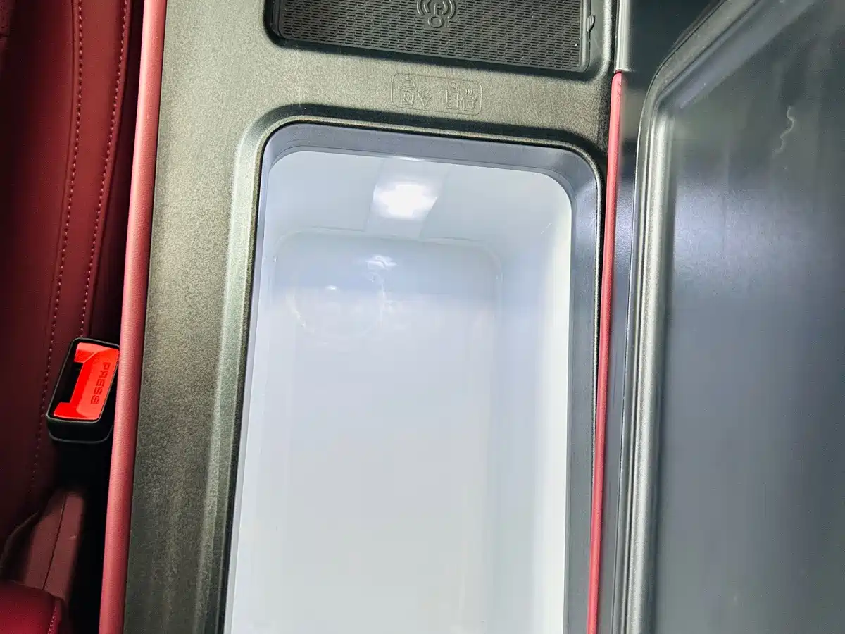 Voyah Auto VOYAH Zhuiguang L 2025 2025 Mid-configuration Model