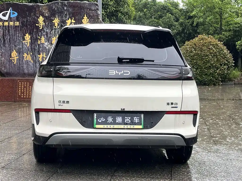 BYD Hai Shi 05 EV 2025 520KM Smart Navigation Edition фото 11