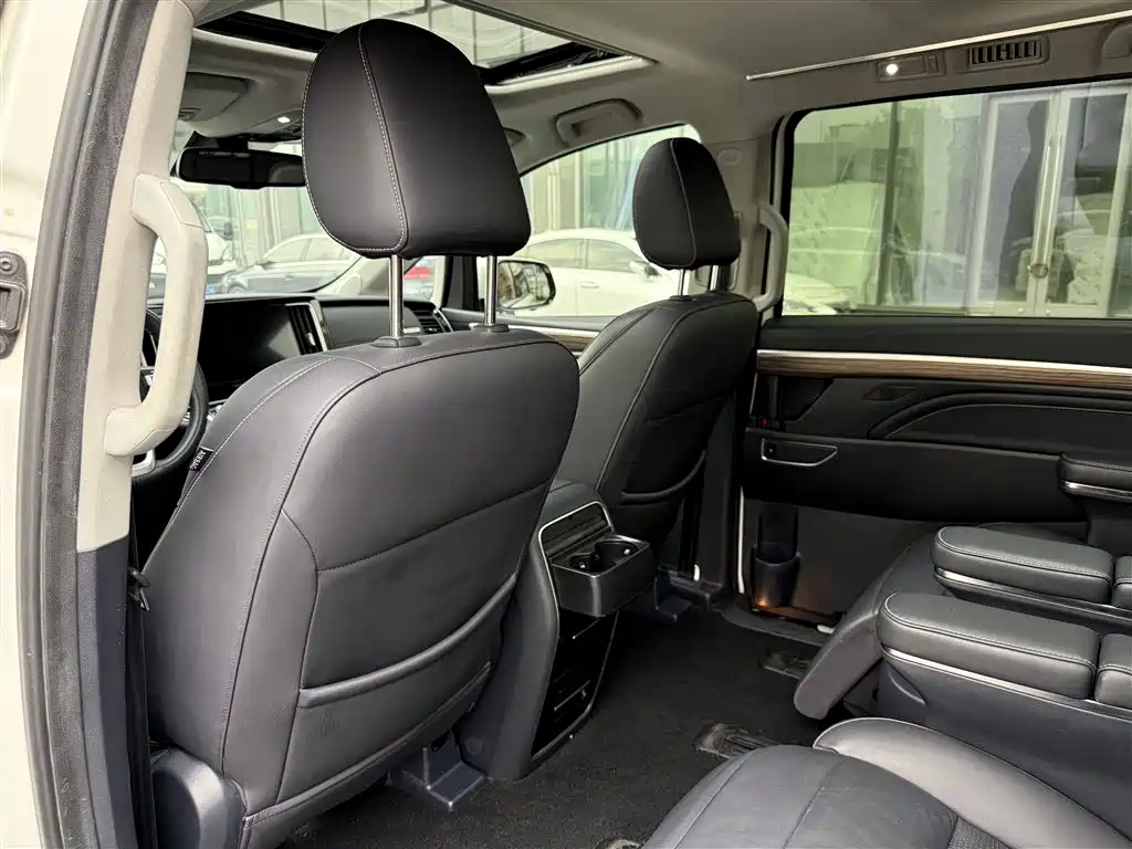 GAC Trumpchi Trumpchi M8 2021 Master Series 390T Ultimate Edition фото 35