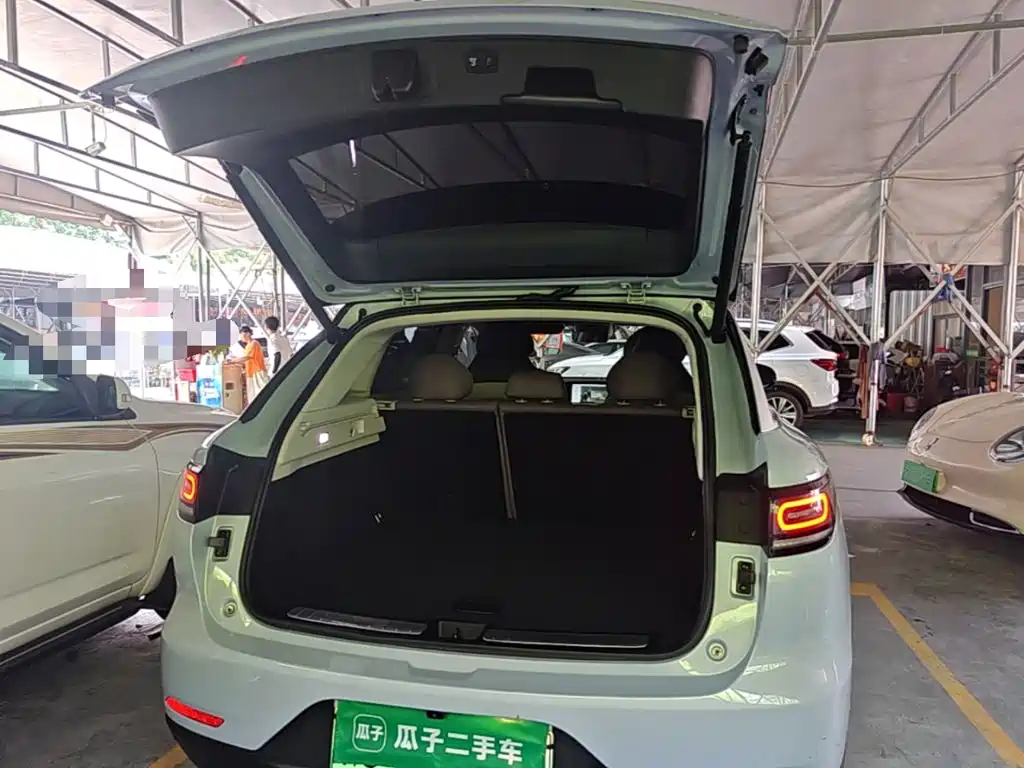Leapmotor C11 2021 2021 Luxury Edition