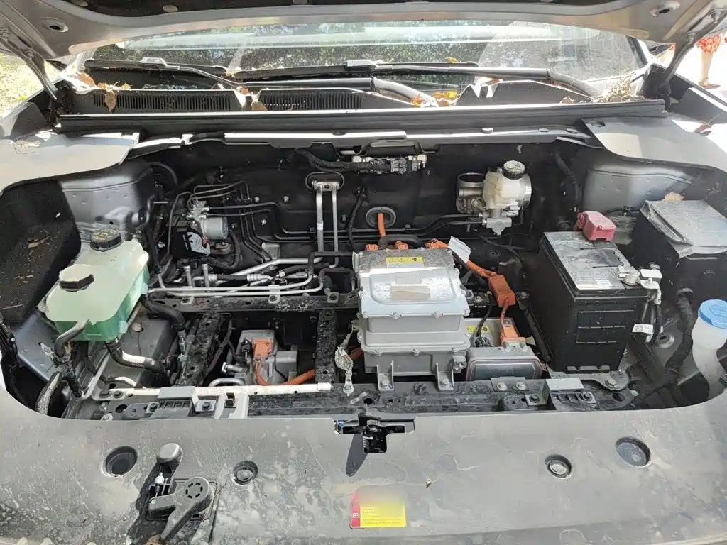 Baojun Yunhai 2025 2024 600km Pure Electric Version