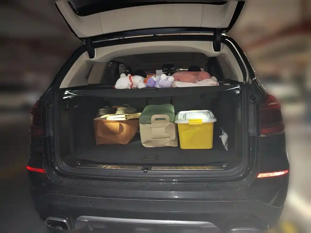 BMW X3 2020 xDrive25i Luxury Package фото 16