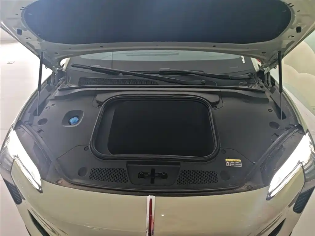 Hongqi EH7 2025 600 Smart Selection Edition фото 20